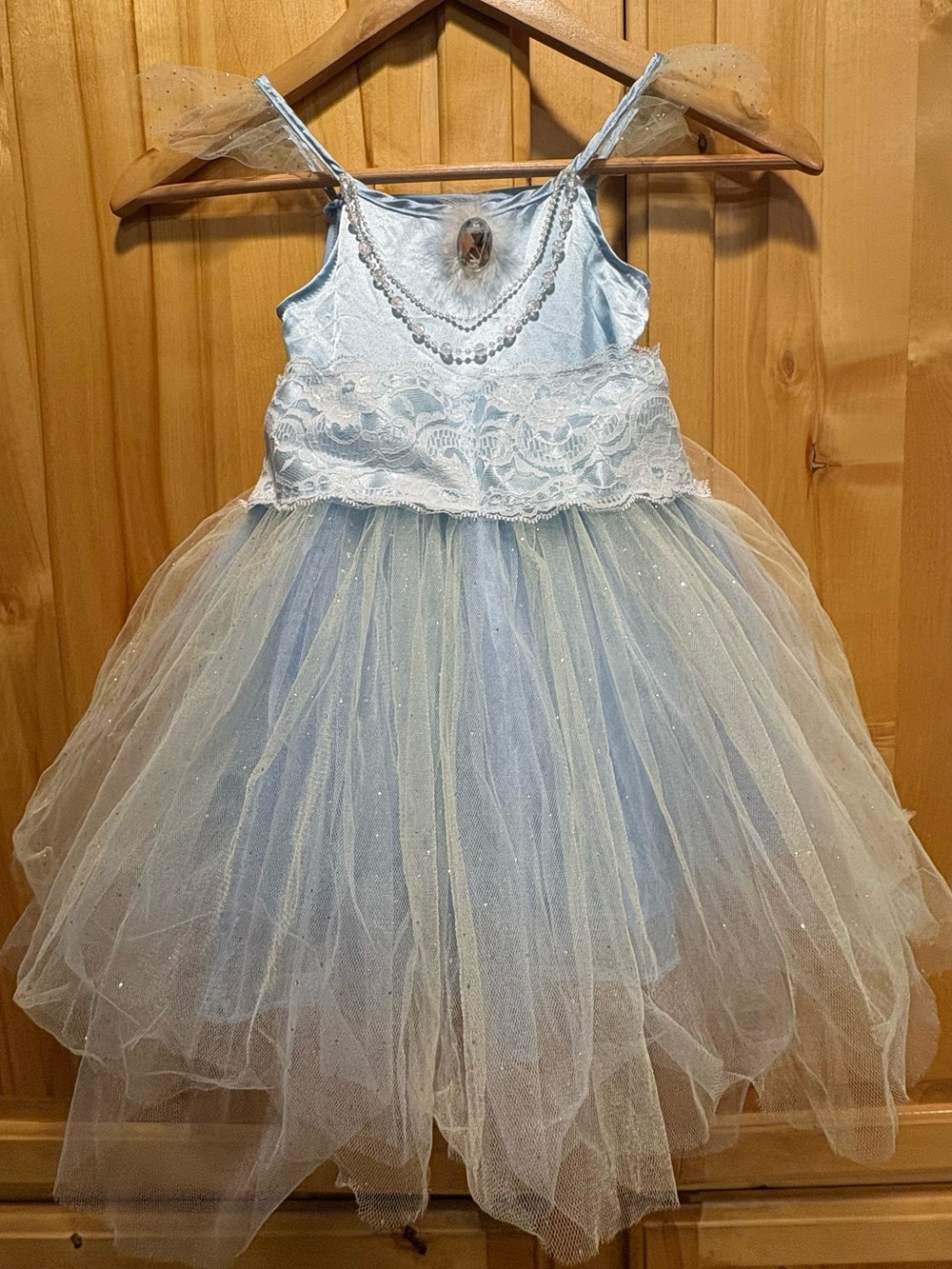 Vintage Miss Princess Light Blue Tulle and Lace Princess Costume Dress